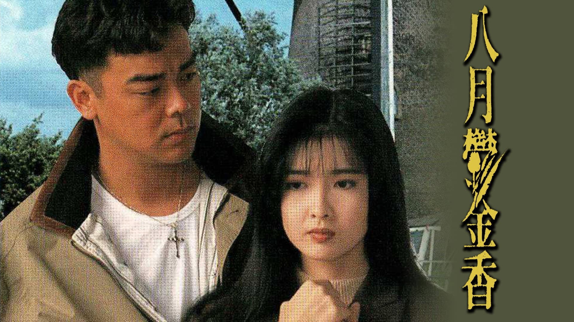 八月鬱金香 - immagine