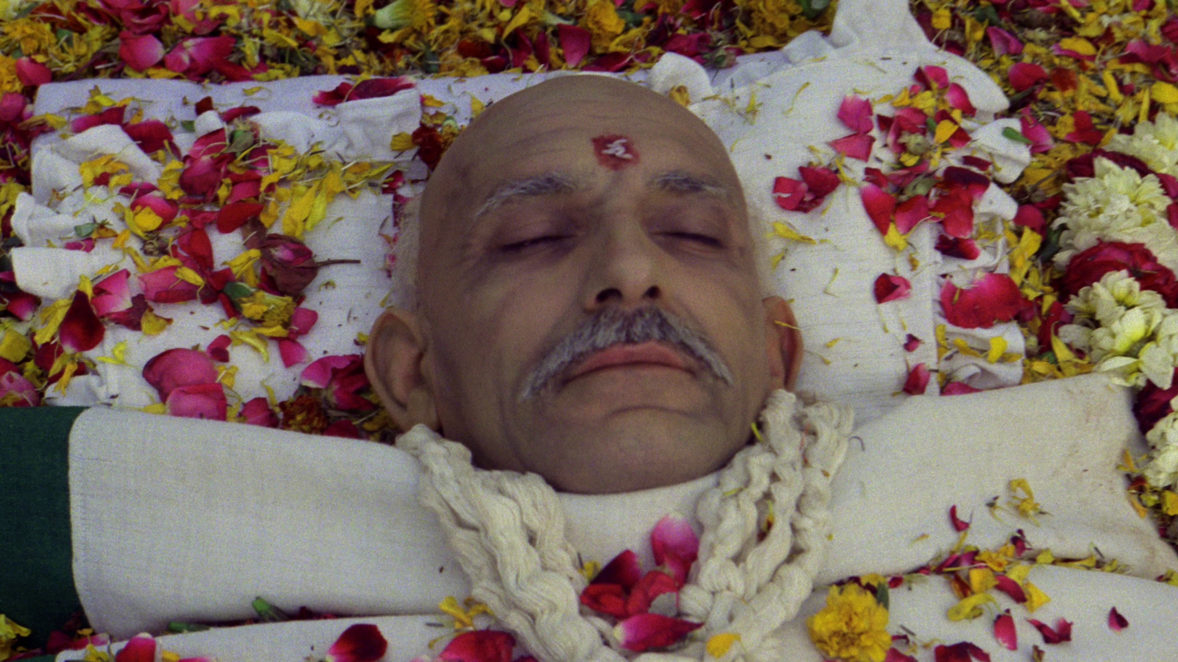 Gandhi - immagine