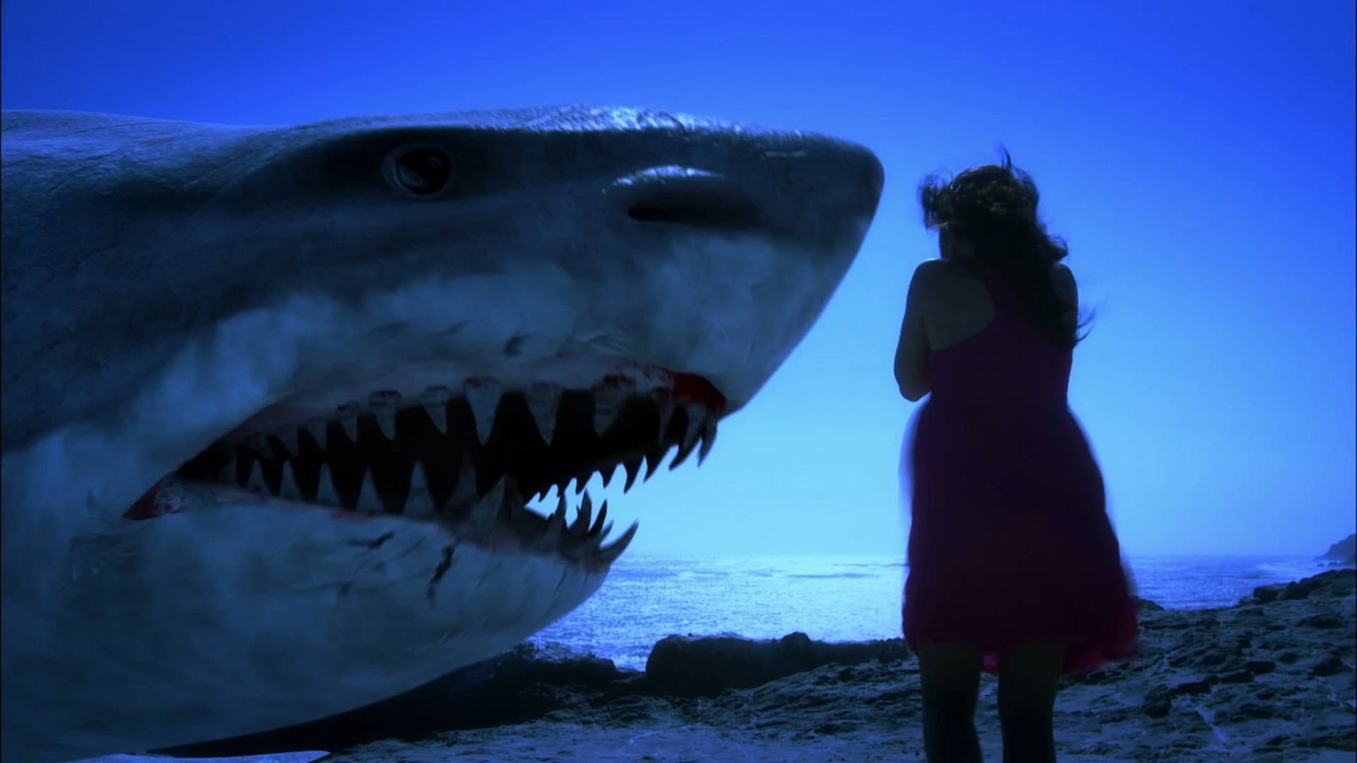 Super Shark - immagine