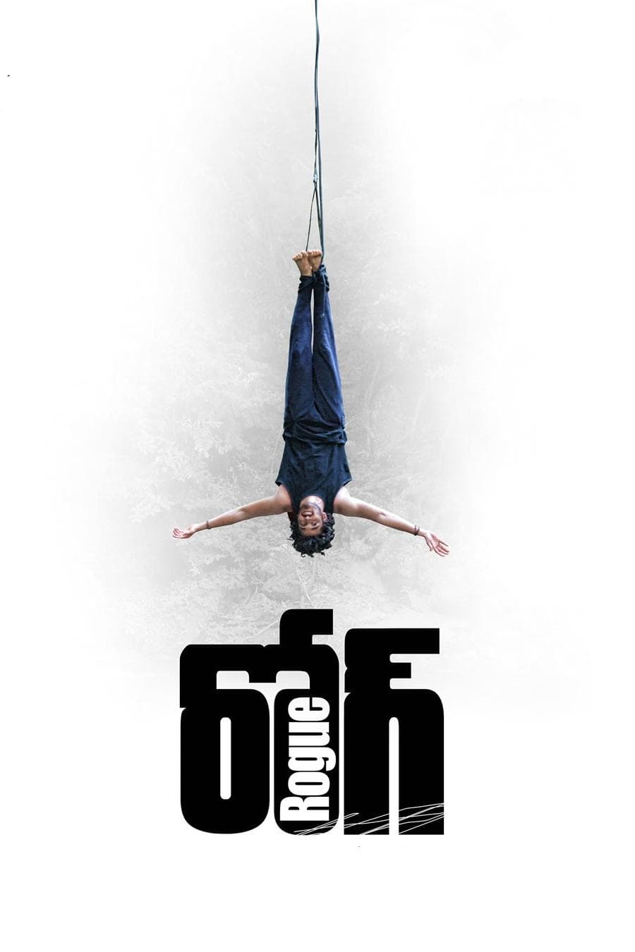 Poster di రోగ్