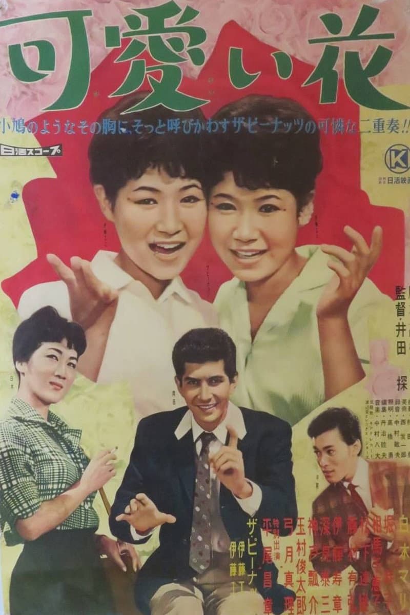 Poster di 可愛い花