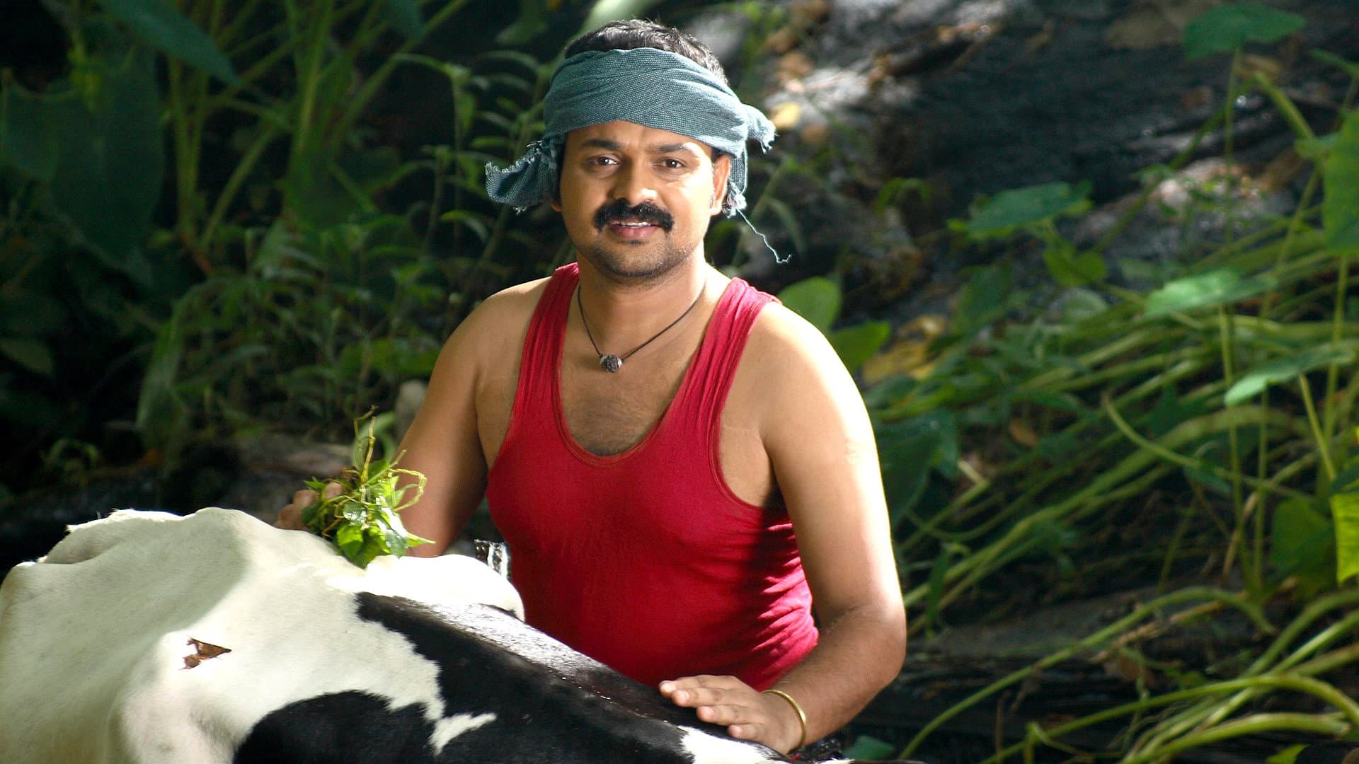 എൽസമ്മ എന്ന ആൺകുട്ടി - immagine