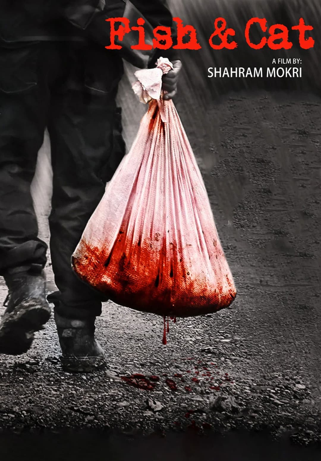 Poster di Fish & Cat