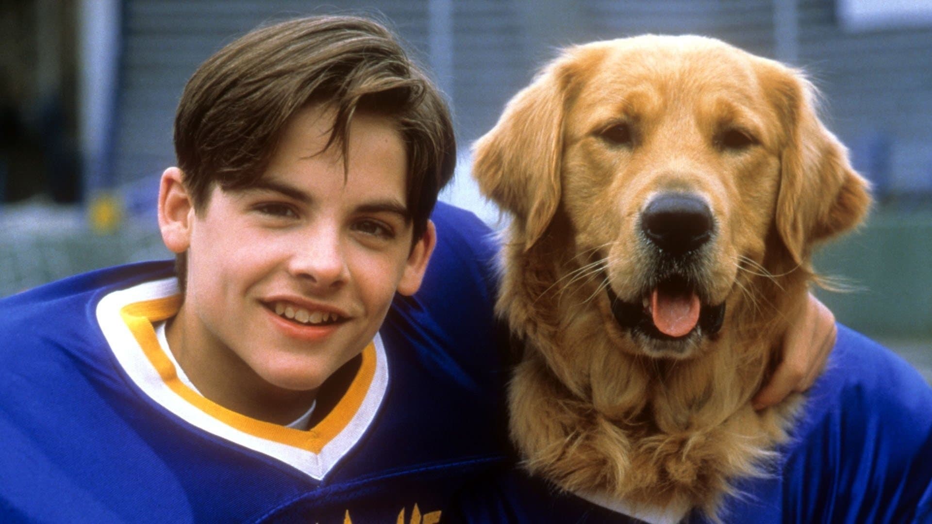 Air Bud 2 - Eroe a quattro zampe - immagine