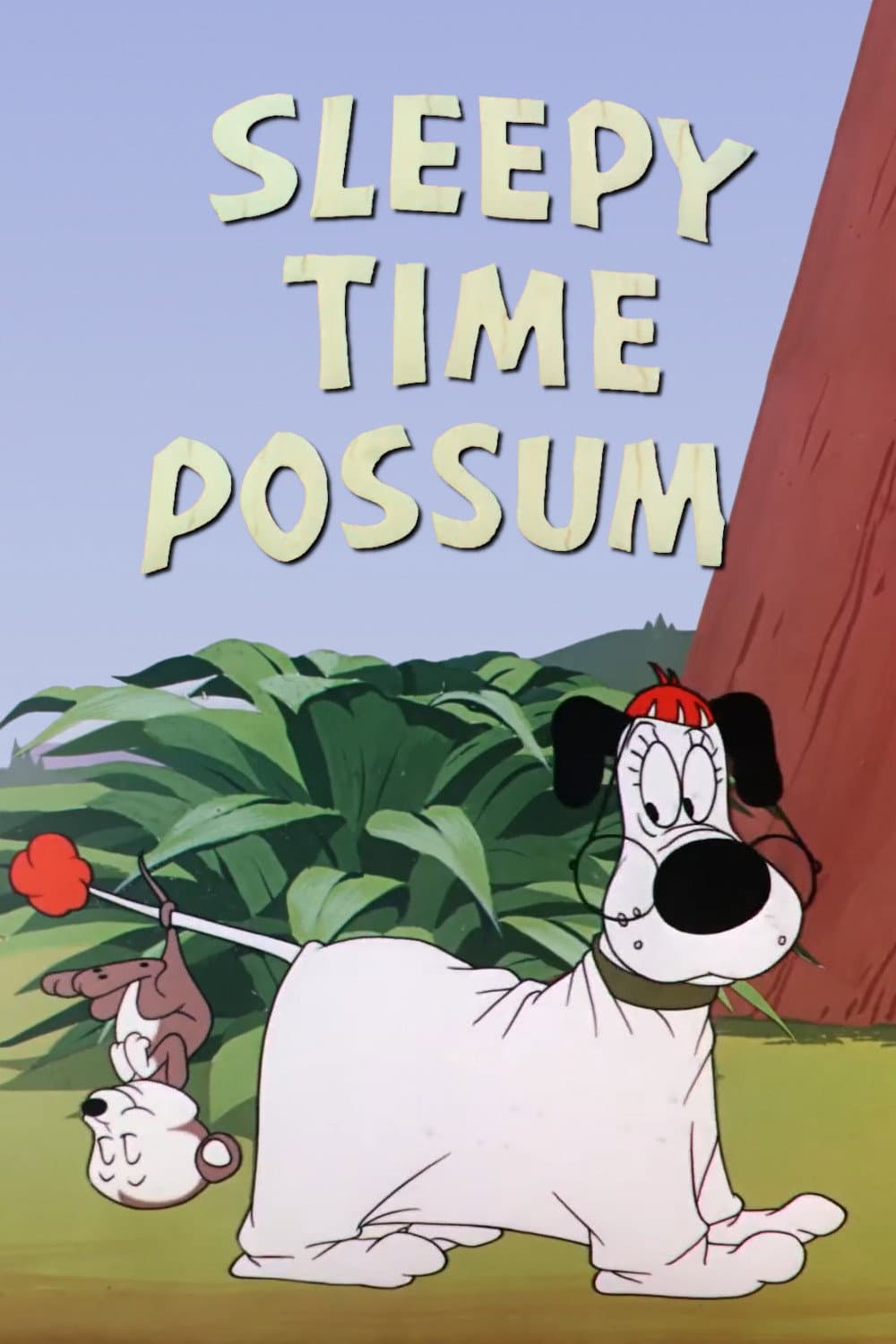 Poster di Il letargo dell’Opossum