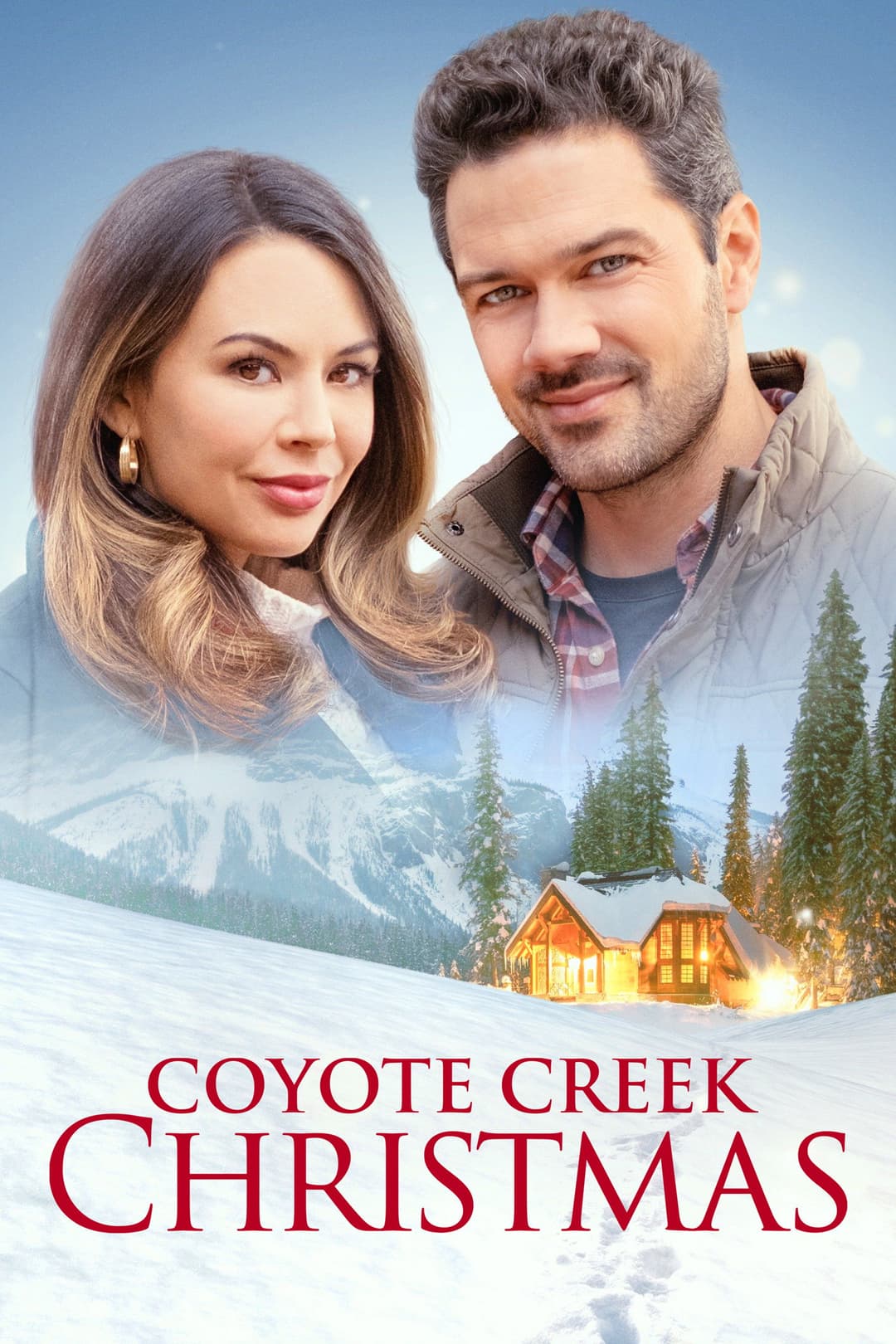 Poster di Una famiglia per Natale