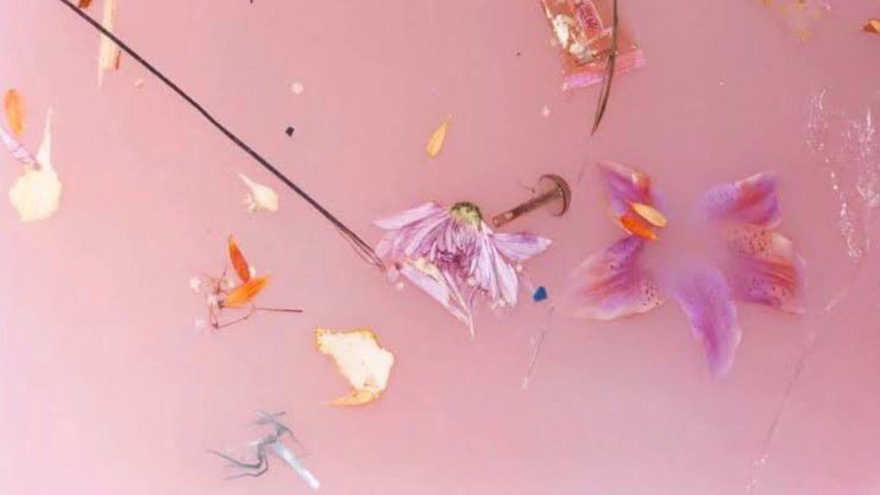 Harry Styles: Behind the Album - The Performances - immagine