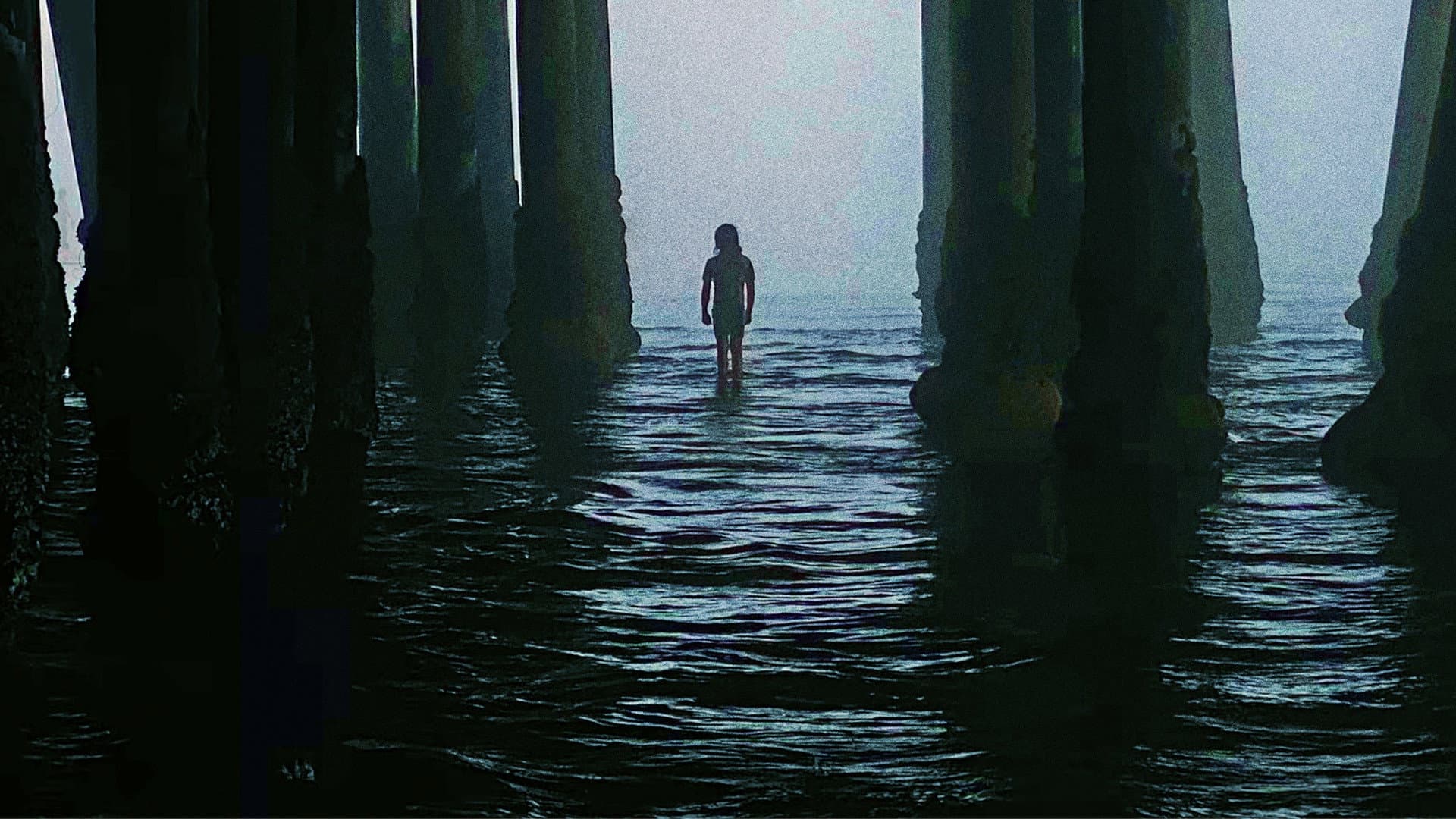 Kidnapped in Paradise - immagine