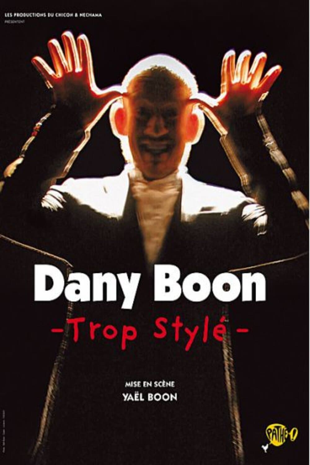 Poster di Dany Boon - Trop stylé