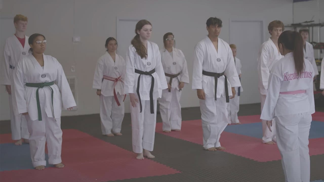 The Karate Princess - immagine
