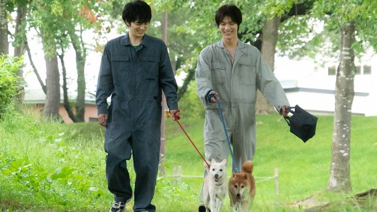 犬部！ - immagine