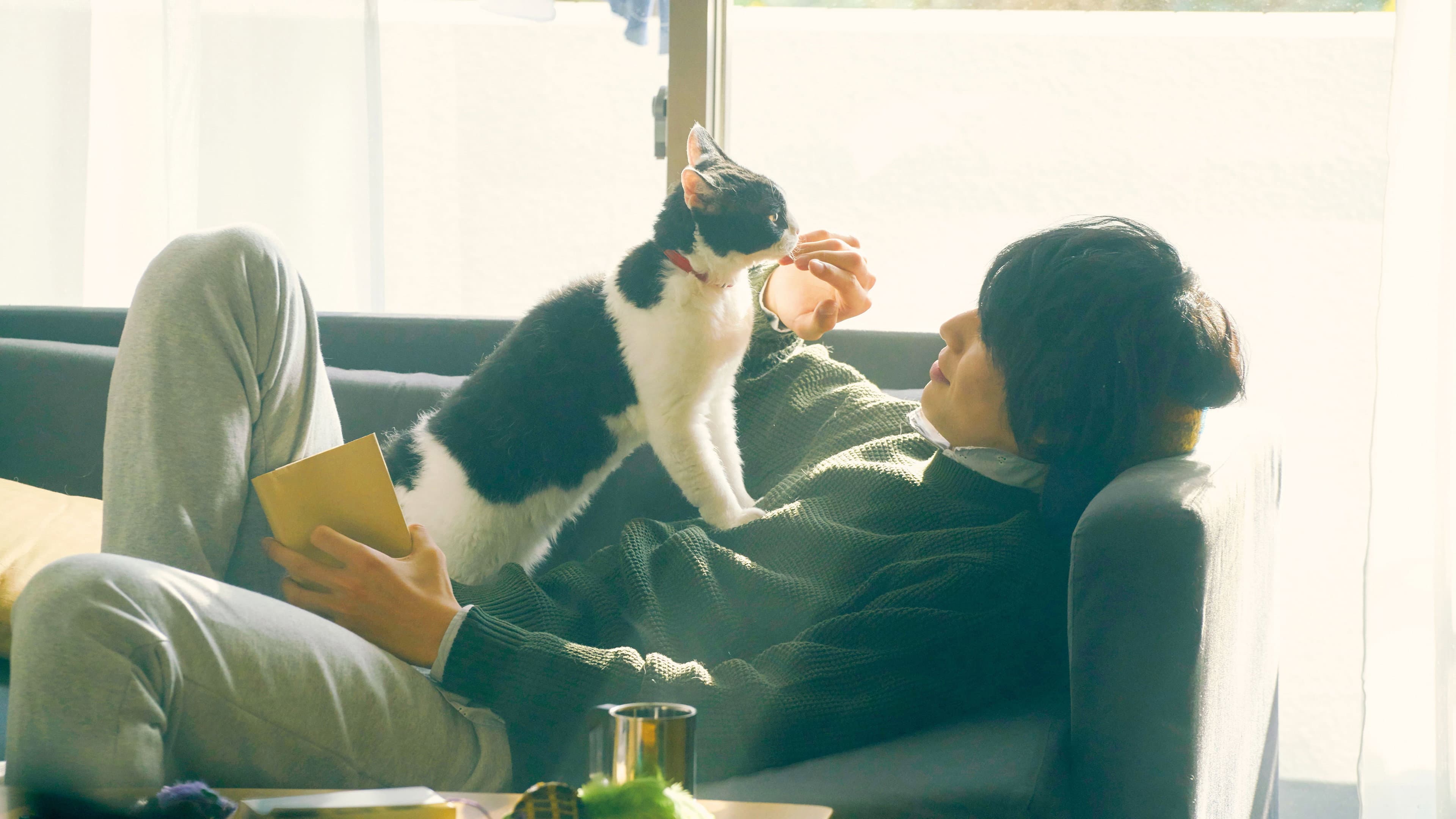 The Travelling Cat Chronicles - immagine