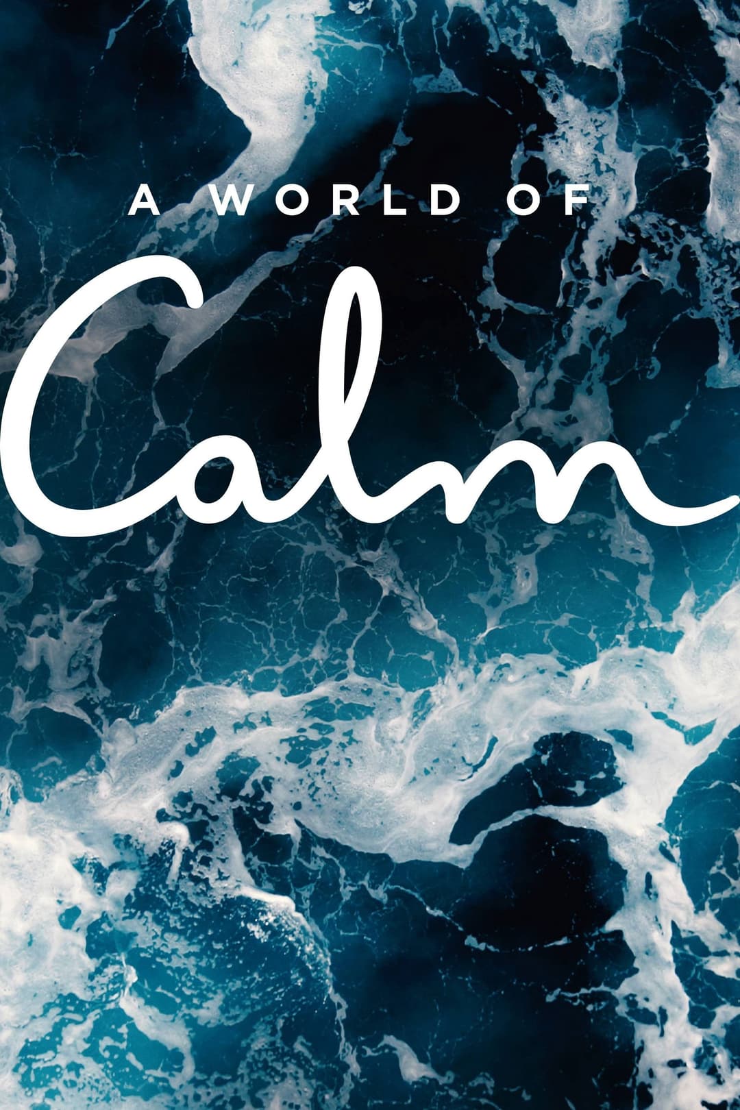 Poster di A World of Calm