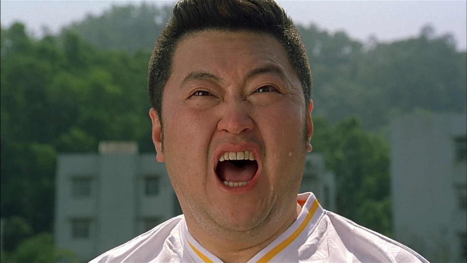 Shaolin Soccer - immagine