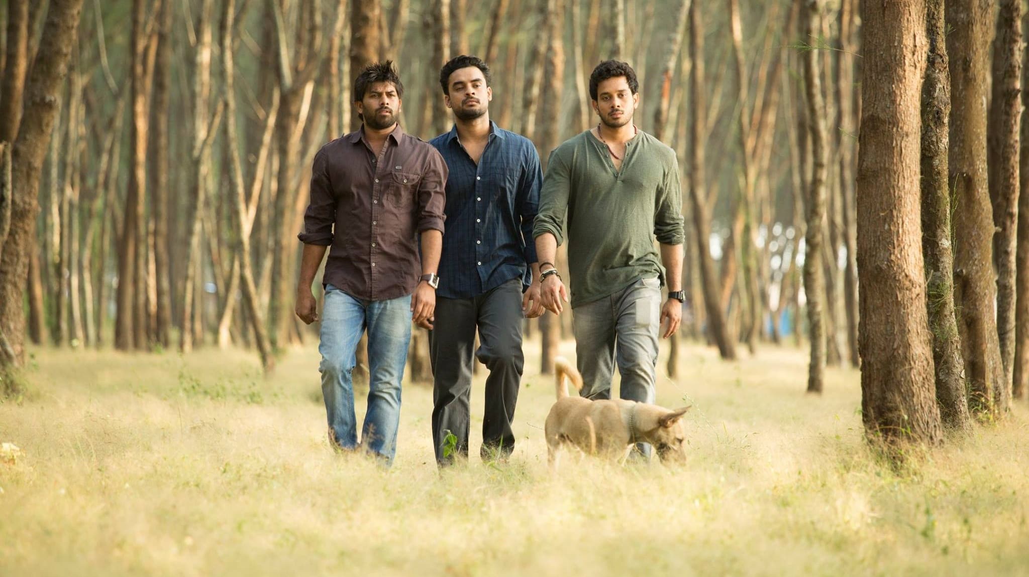 കൂതറ - immagine