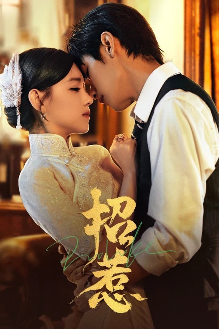 Poster di 招惹