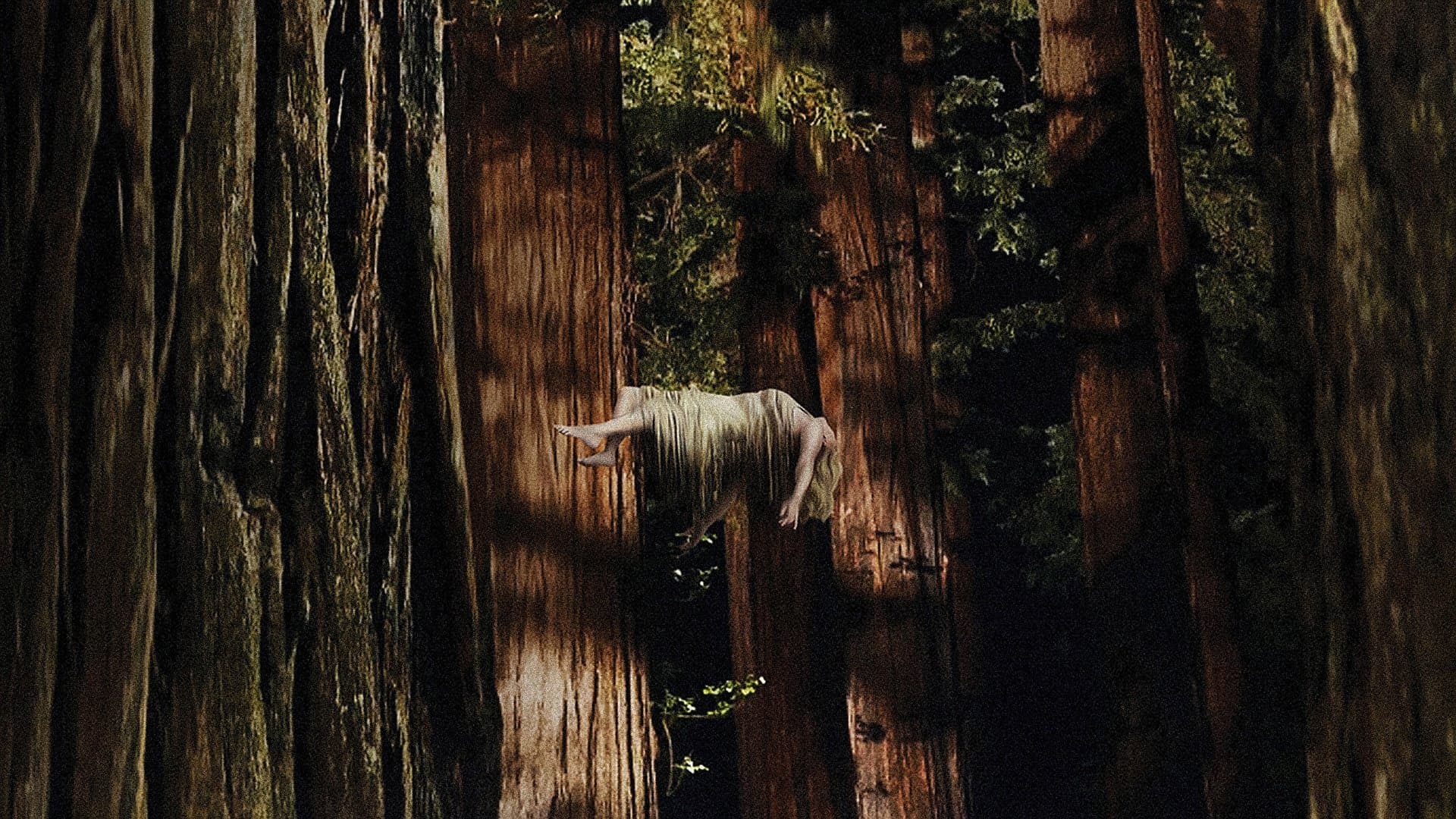 Woodshock - immagine