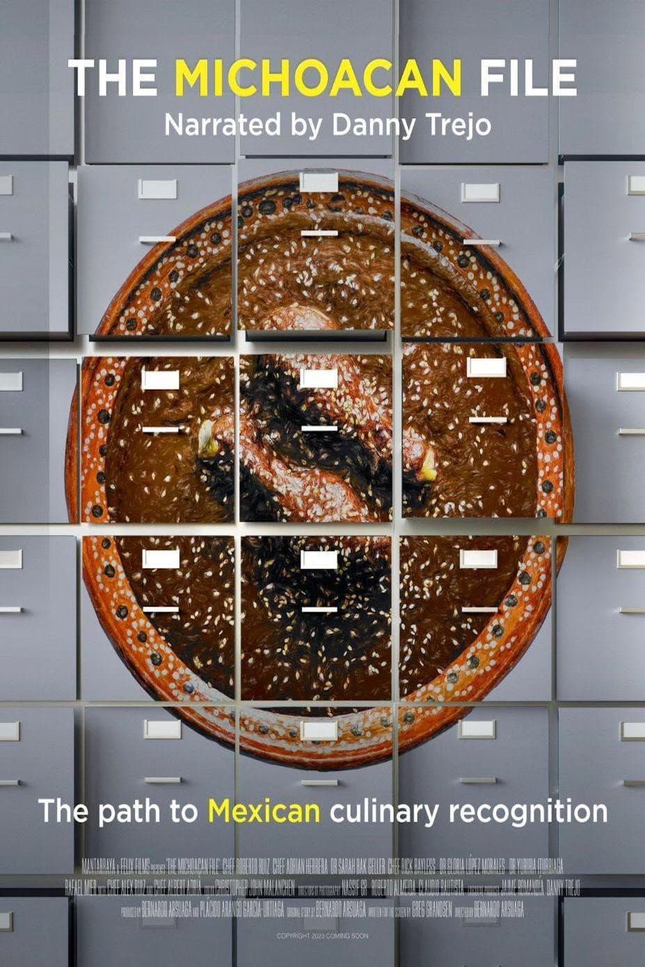 Poster di The Michoacan File