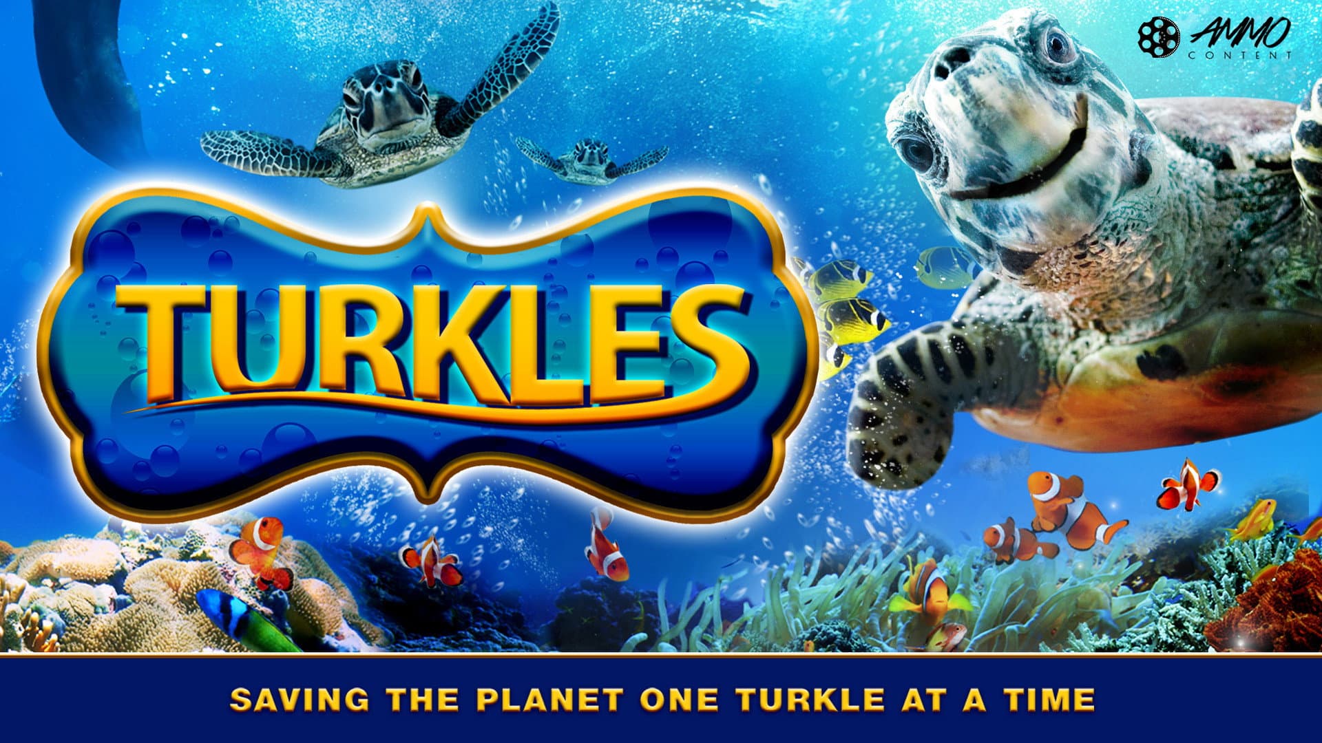 Turkles - immagine