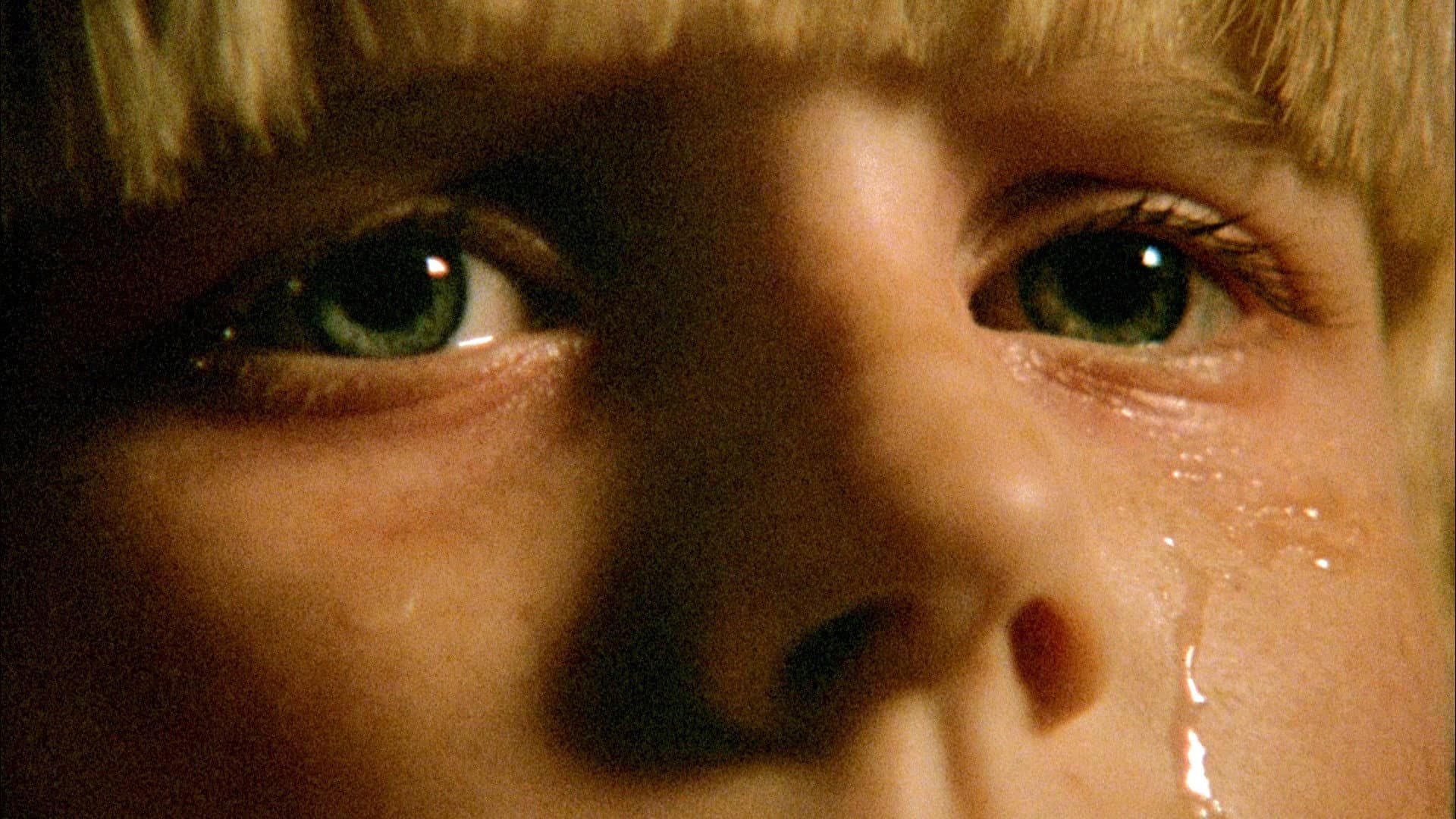 Brood - La covata malefica - immagine