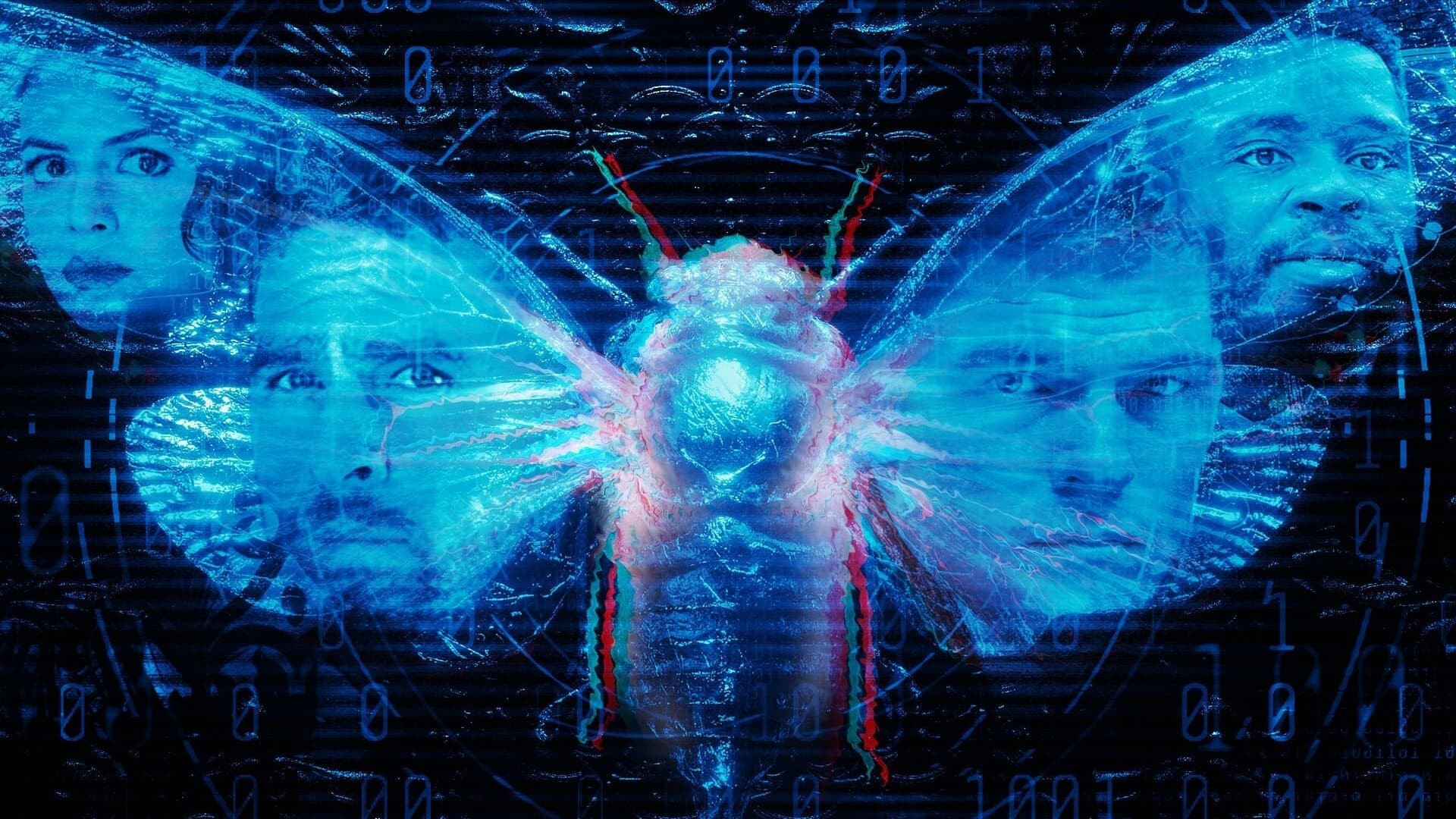 Dark Web: Cicada 3301 - immagine