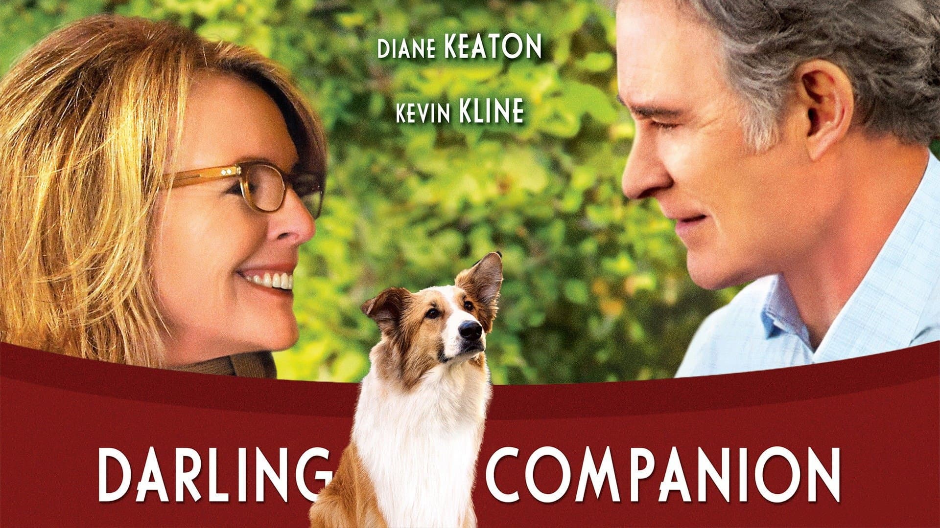 Darling Companion - immagine