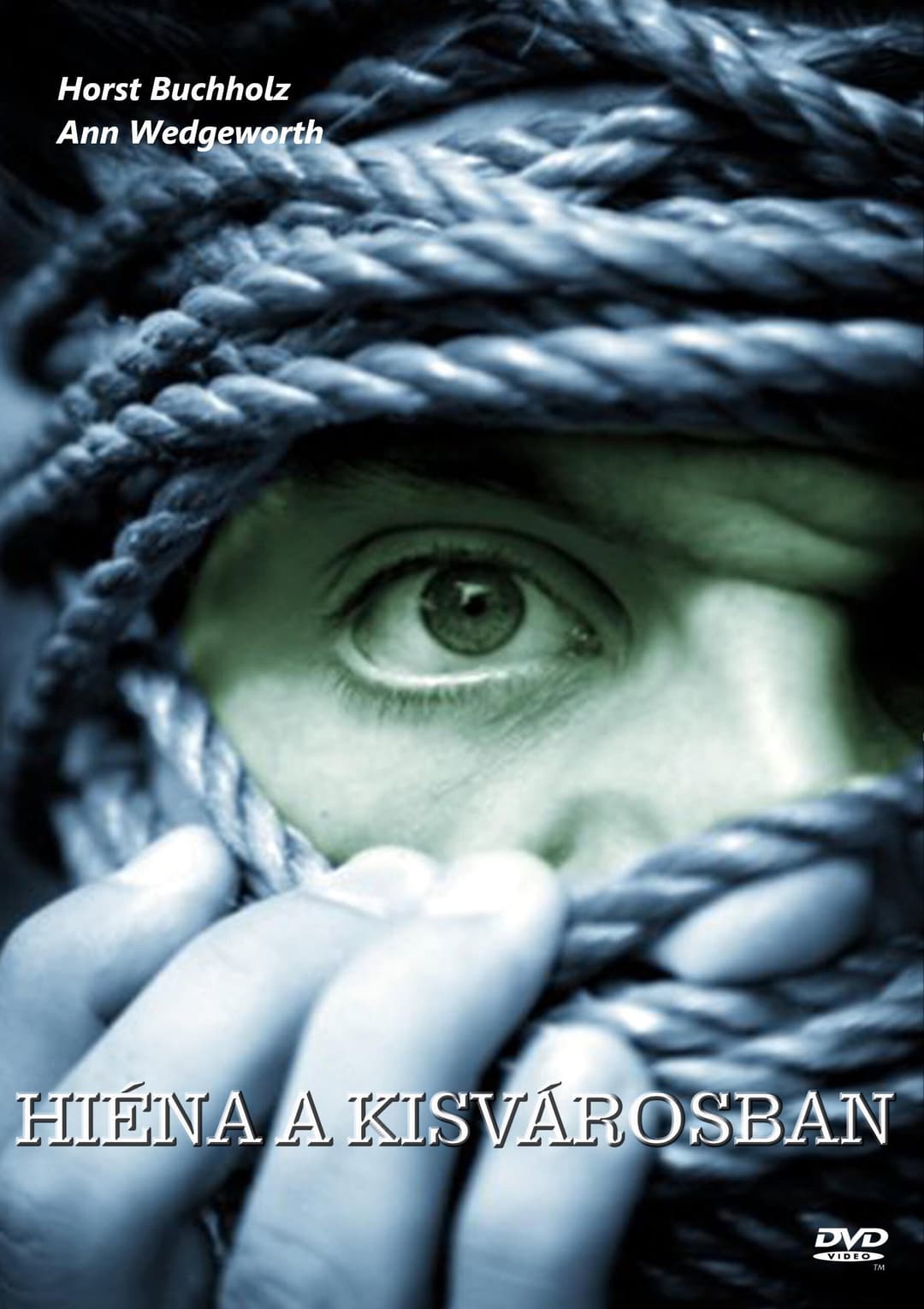 Poster di Kit e l'omicida