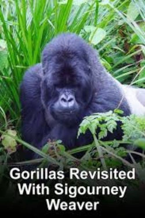 Poster di Gorillas Revisited with Sigourney Weaver