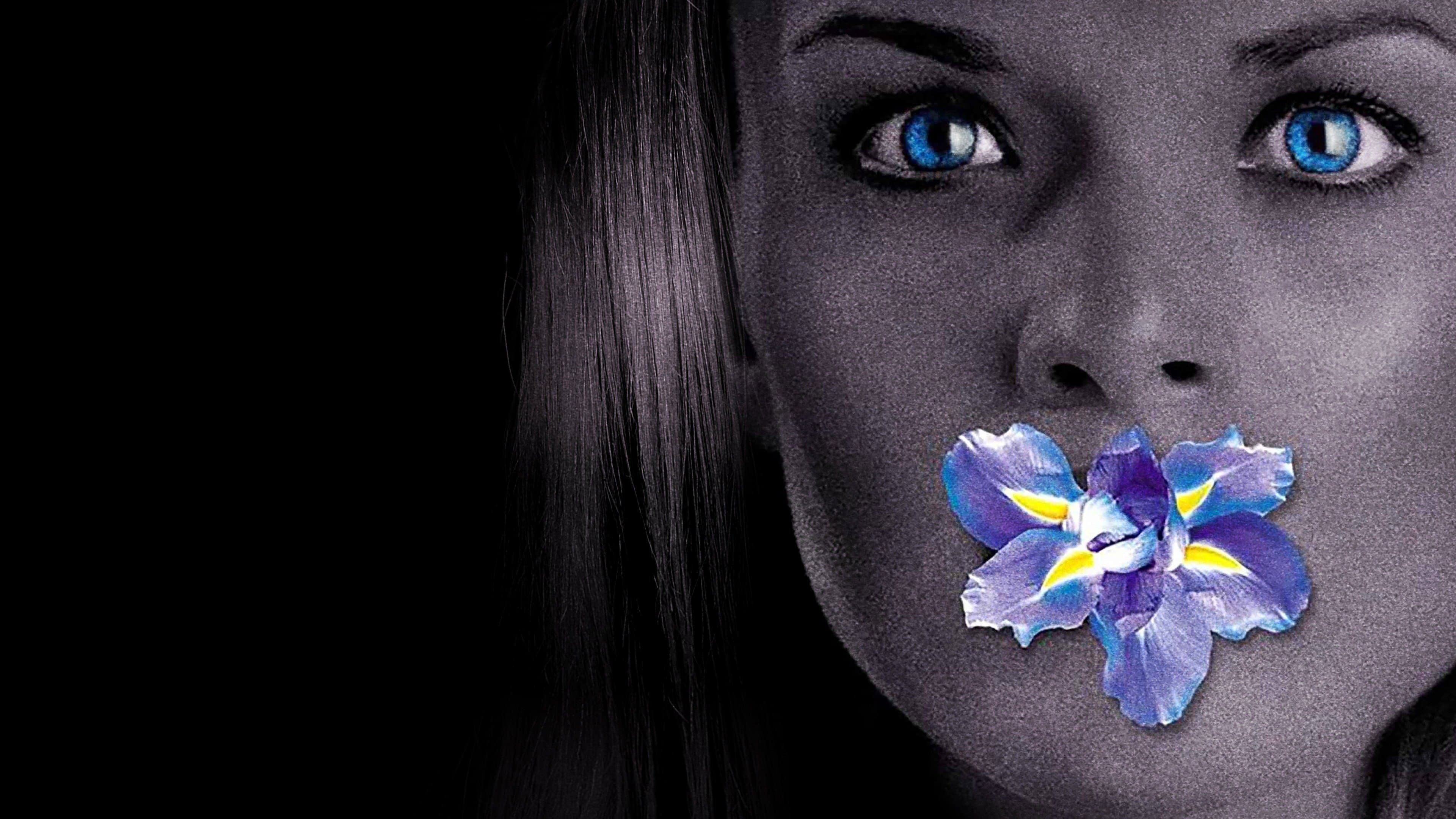 Il fiore del silenzio - immagine