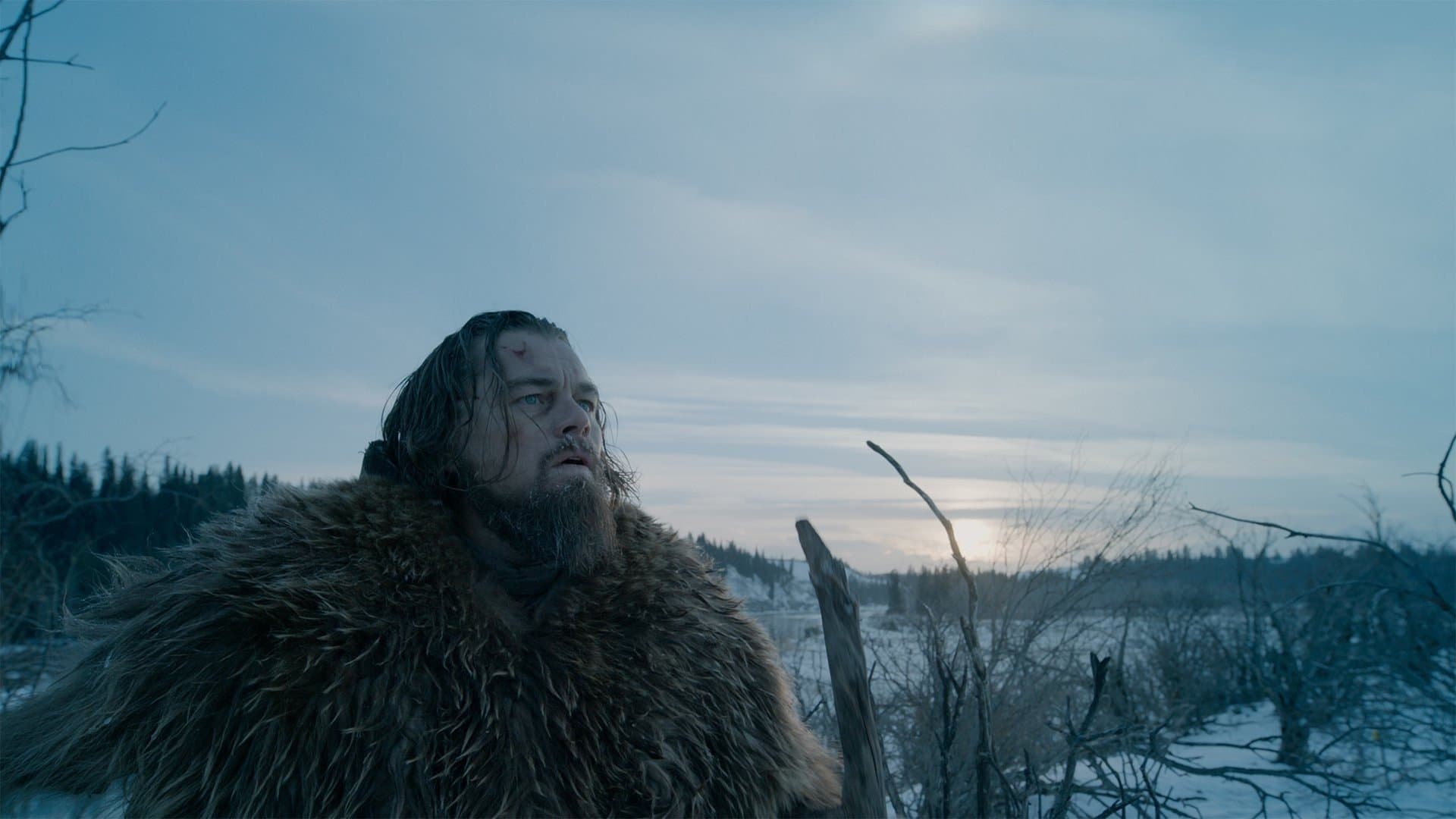 Revenant - Redivivo - immagine