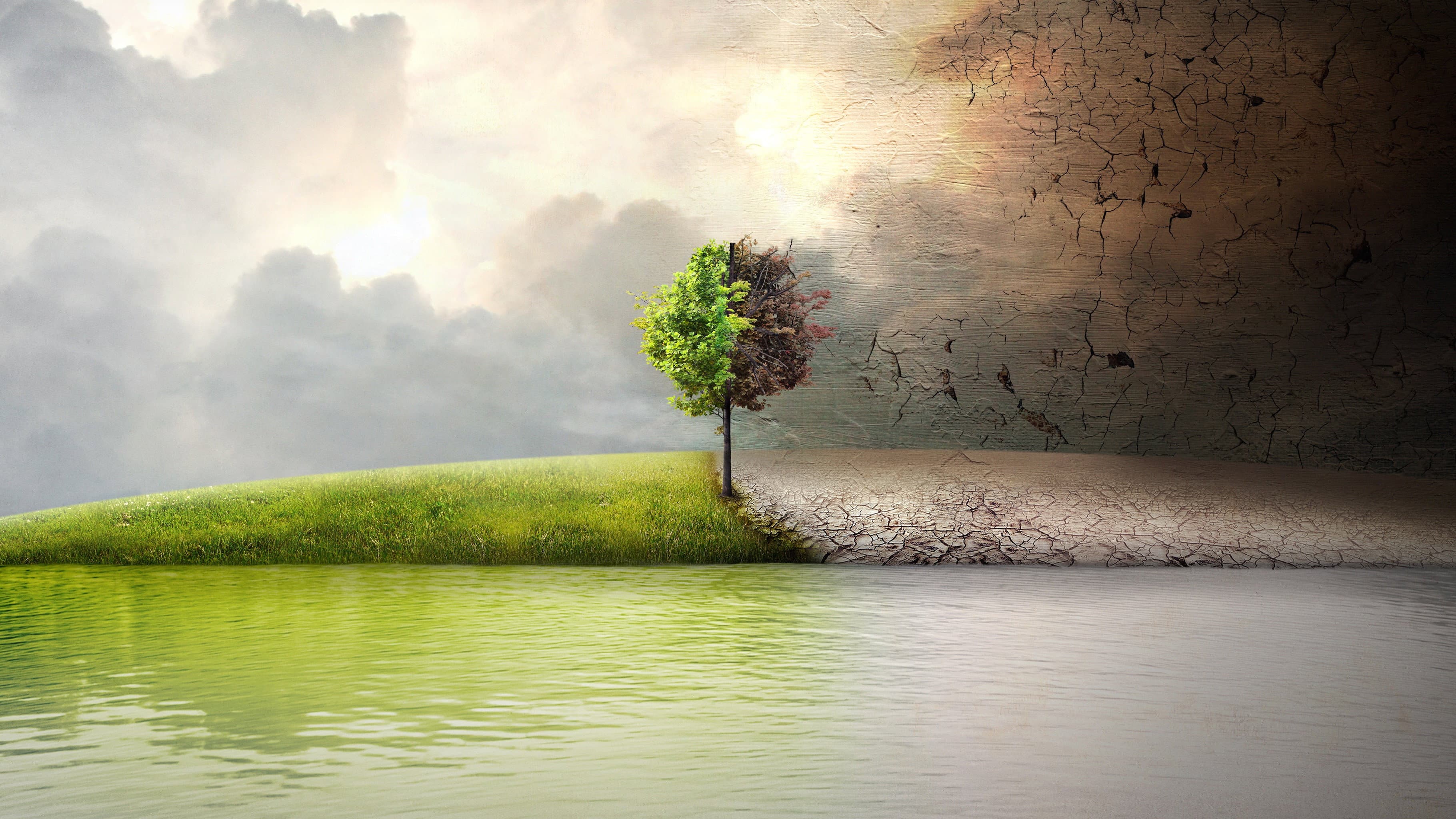 Punto di non ritorno - Before the Flood - immagine