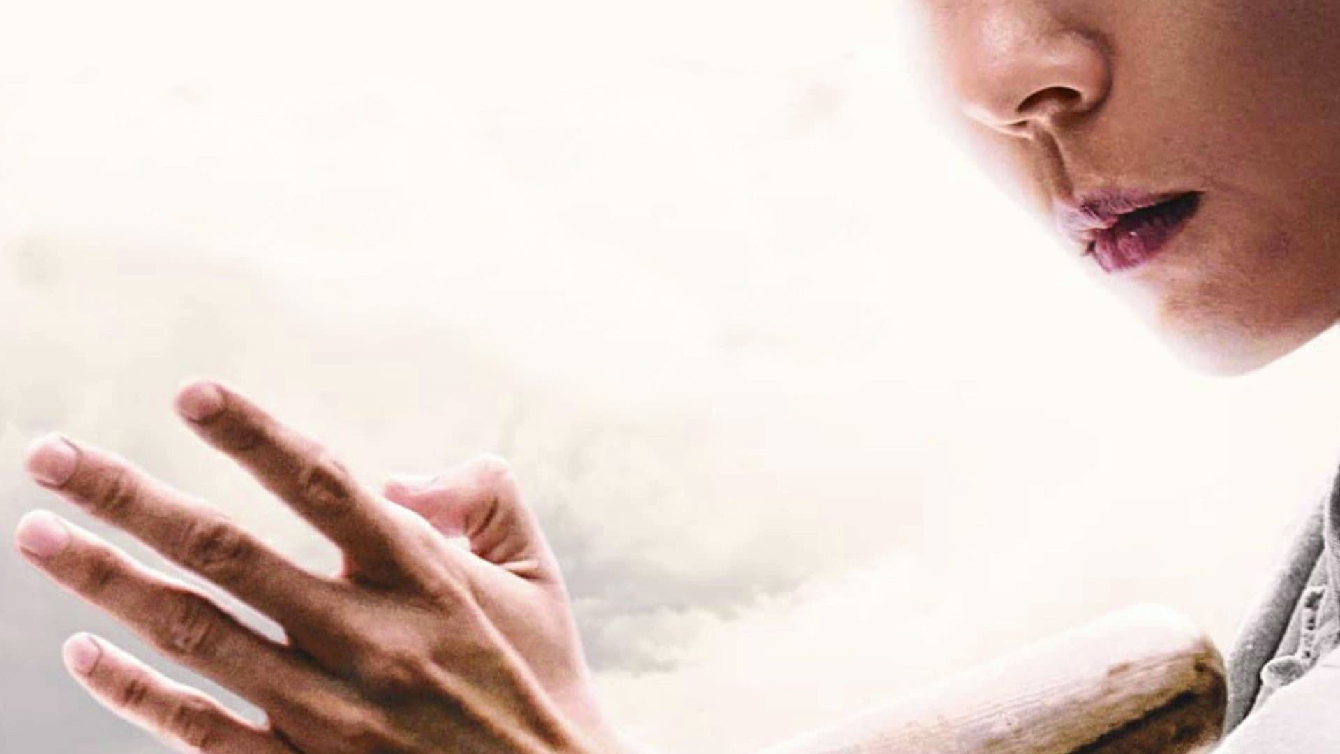 Ip Man - Il risveglio - immagine