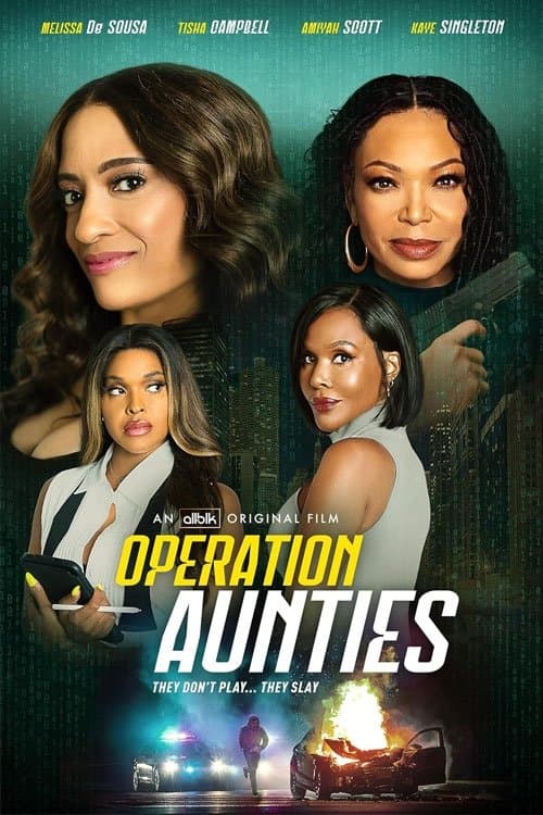Poster di Operation: Aunties