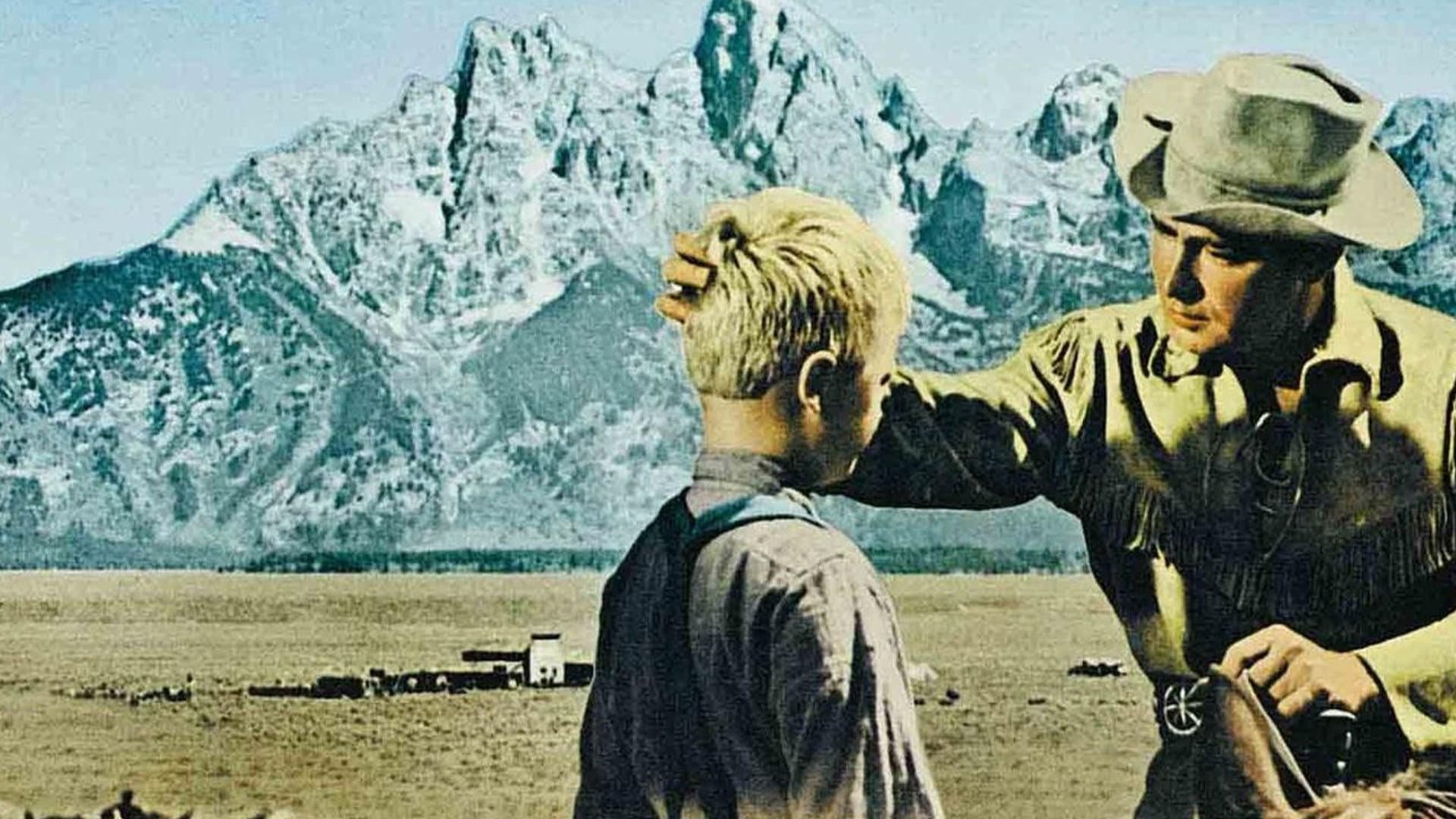 Il cavaliere della valle solitaria - immagine