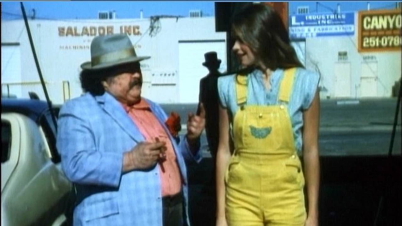 Il ragazzo e il poliziotto - immagine