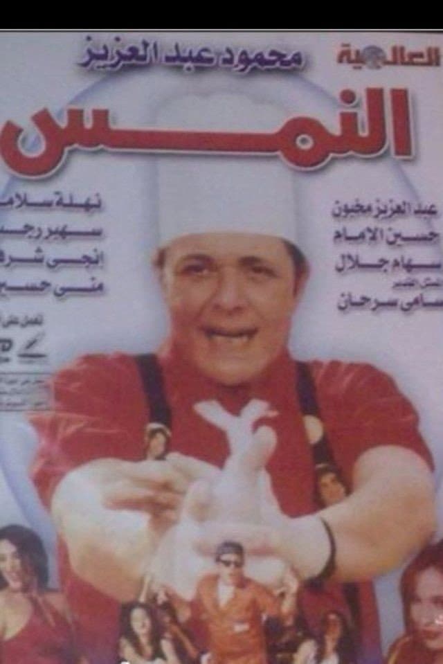 Poster di النمس