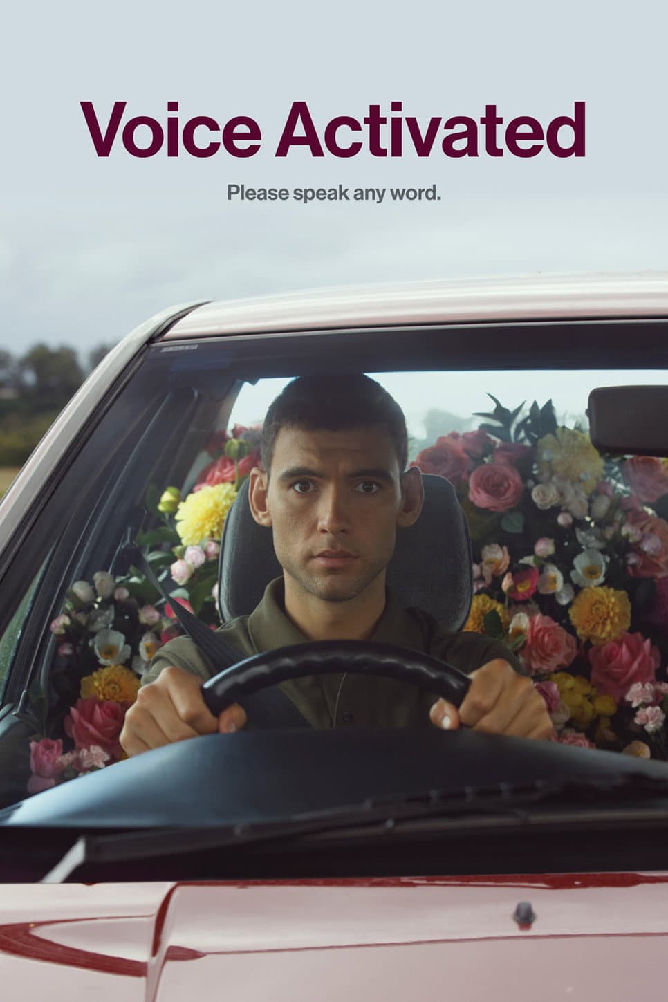 Poster di Voice Activated