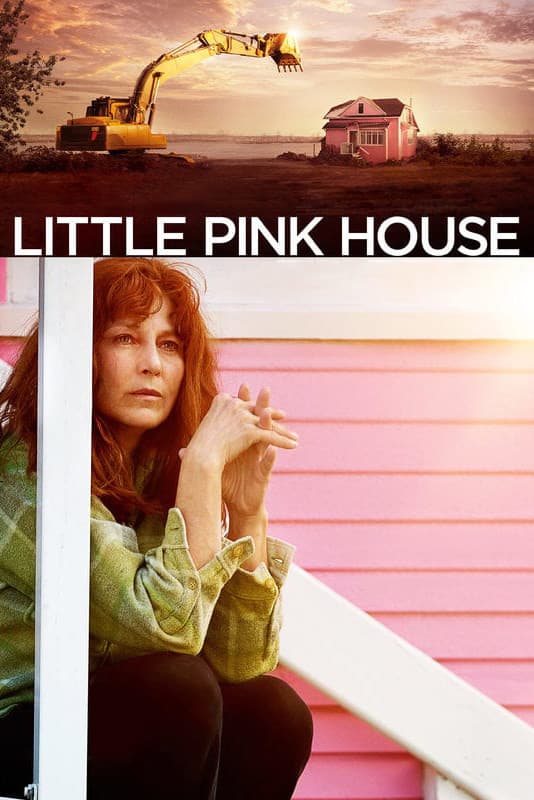 Poster di Little Pink House