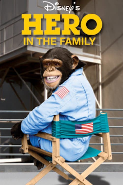 Poster di Hero in the Family