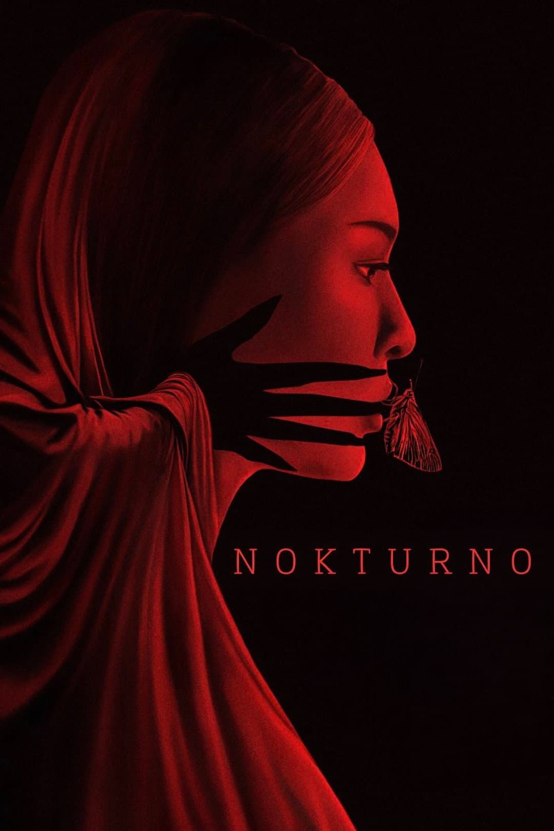 Poster di Nokturno