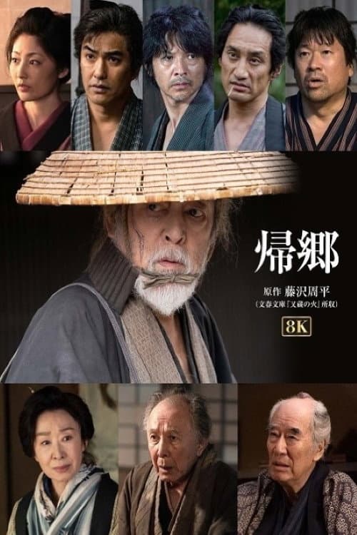 Poster di 帰郷