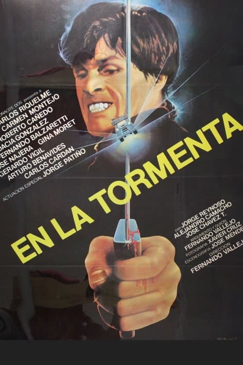 Poster di En la tormenta