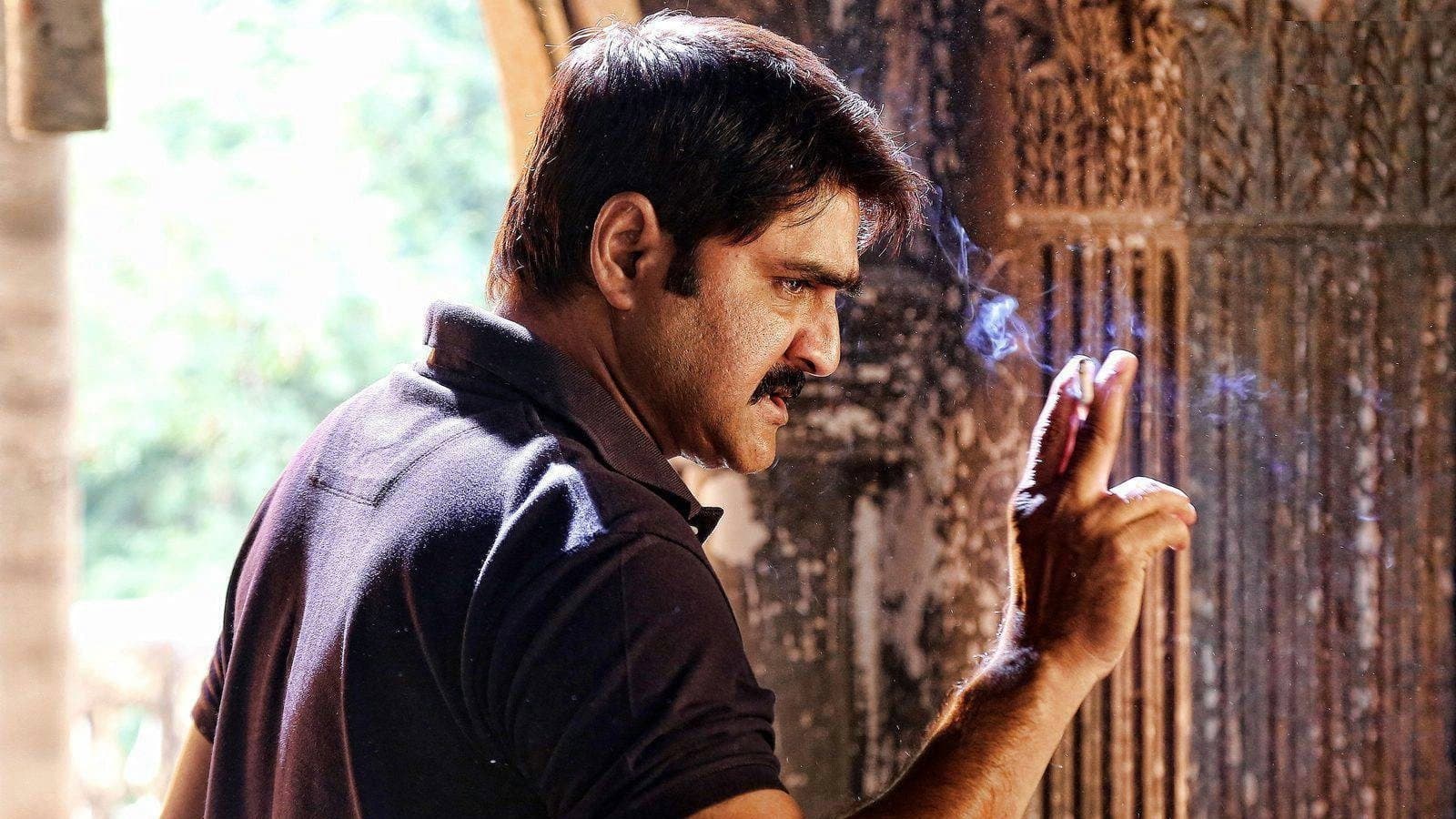 టెర్రర్ - immagine