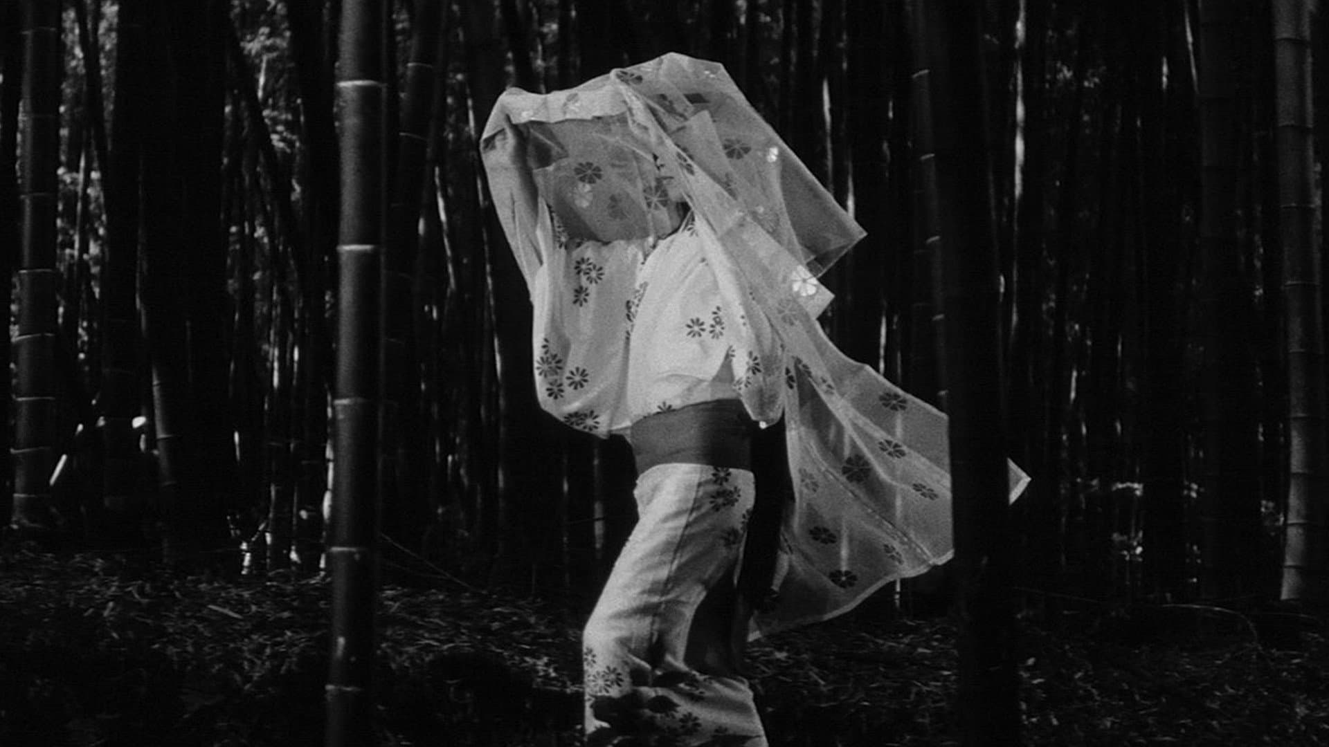 Kuroneko - immagine
