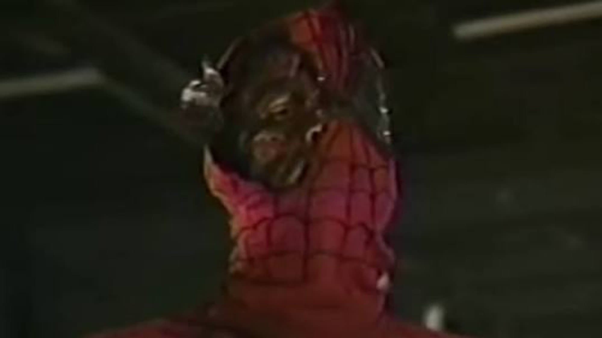 The Green Goblin's Last Stand - immagine