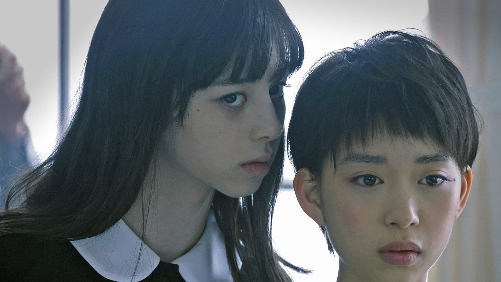 Fatal Frame - immagine