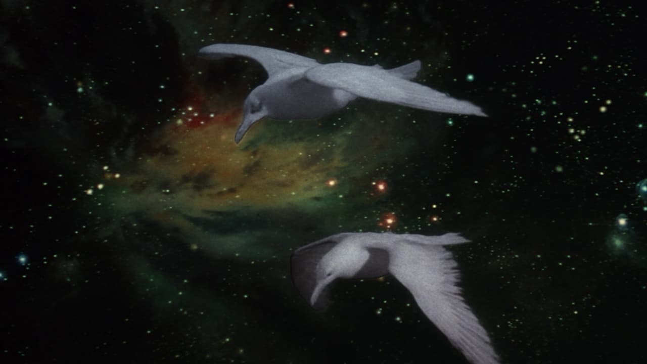 Il gabbiano Jonathan Livingston - immagine