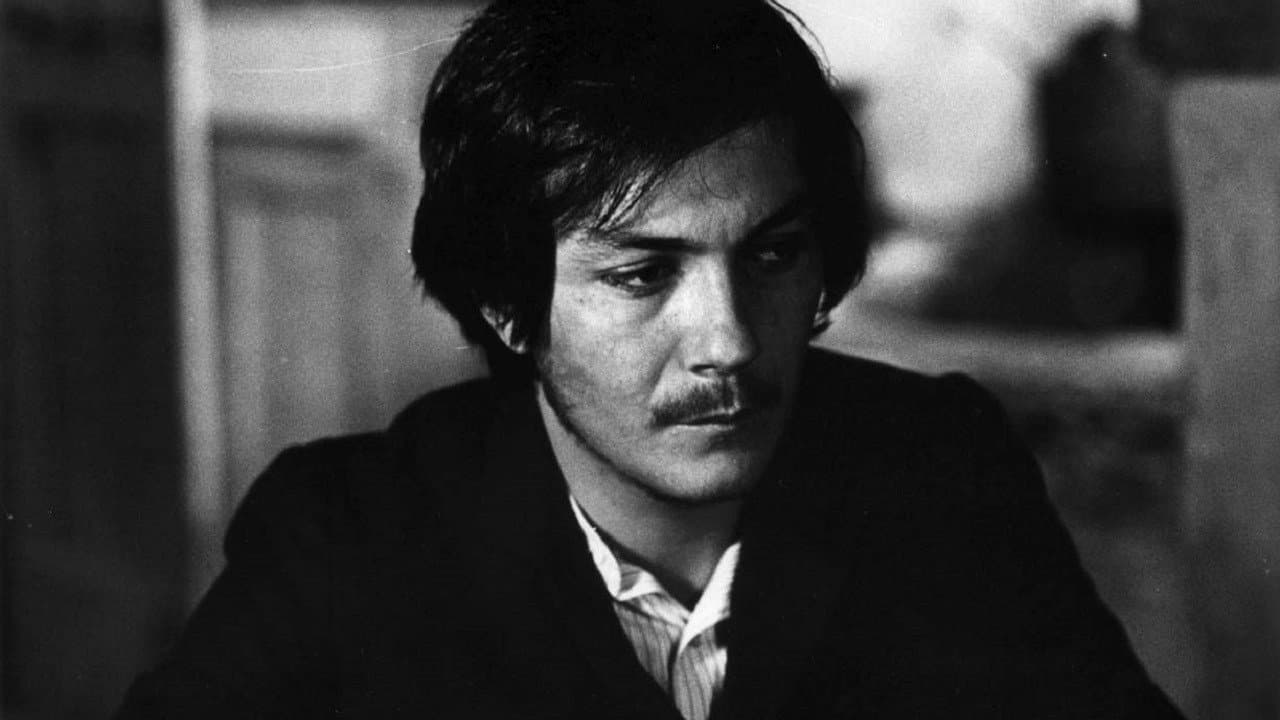 Il gabbiano - immagine