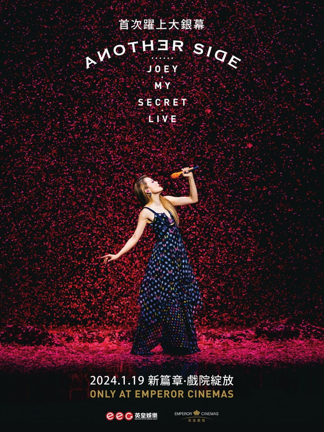 Poster di Another Side Joey My Secret Live