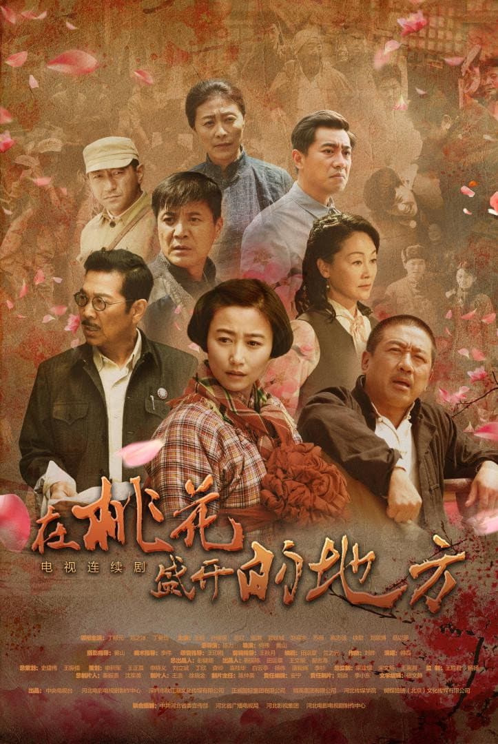Poster di 在桃花盛开的地方